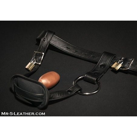 Locking Arnes De Cuero Para Buttplug Mr-S-Leather 21883