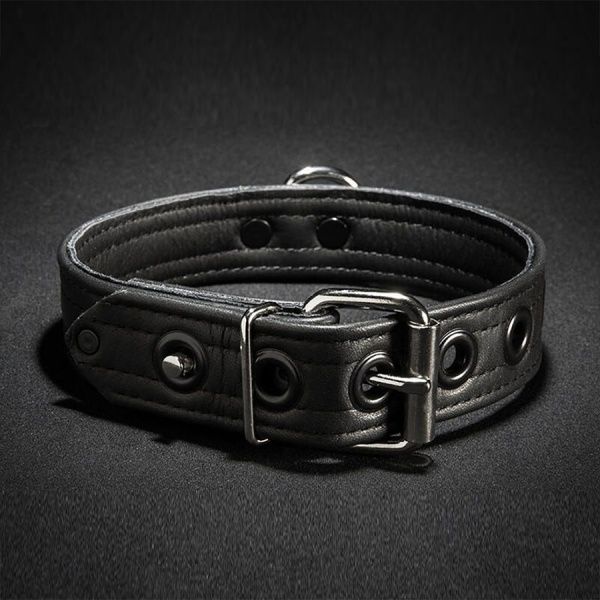 Leather Puppy Collar with D ring Mr-S-Leather 27889