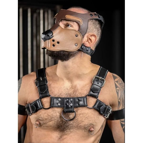 Bone Hound Puppy Muzzle - Marone Mr-S-Leather 37100