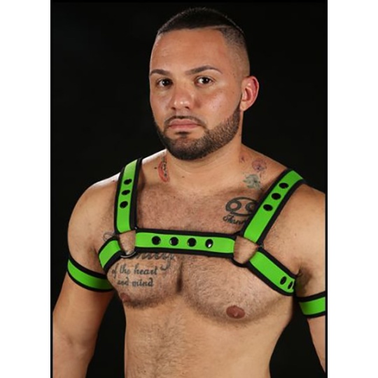 Neo Bold Bulldog Harness Lima Mr-S-Leather 9261